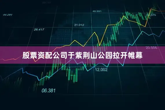 股票资配公司于紫荆山公园拉开帷幕