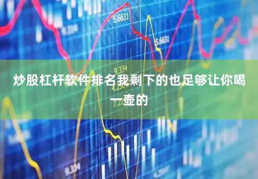 炒股杠杆软件排名我剩下的也足够让你喝一壶的