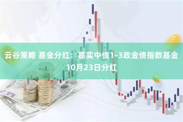 云谷策略 基金分红：嘉实中债1-3政金债指数基金10月23日分红