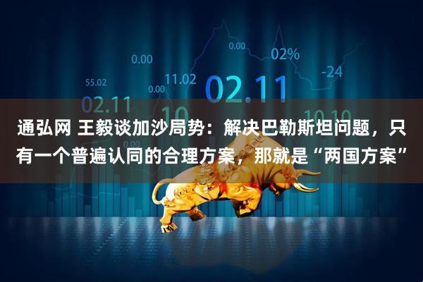 通弘网 王毅谈加沙局势：解决巴勒斯坦问题，只有一个普遍认同的合理方案，那就是“两国方案”