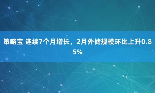 策略宝 连续7个月增长,2月外储规模环比上升0.85%