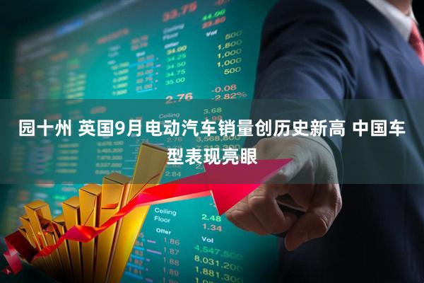 园十州 英国9月电动汽车销量创历史新高 中国车型表现亮眼