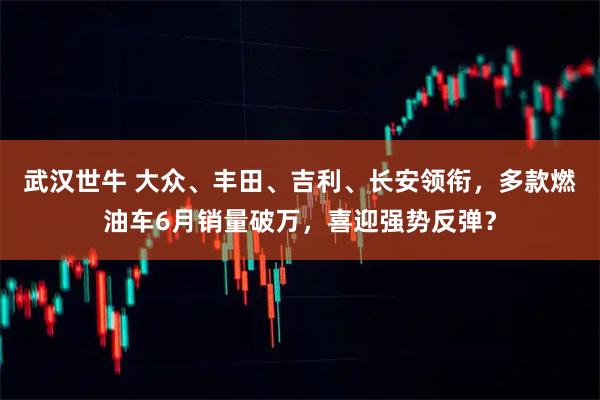 武汉世牛 大众、丰田、吉利、长安领衔,多款燃油车6月销量破万,喜迎强势反弹?