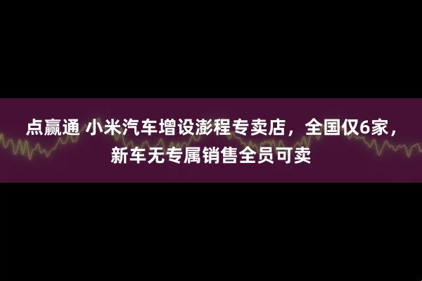 点赢通 小米汽车增设澎程专卖店,全国仅6家,新车无专属销售全员可卖
